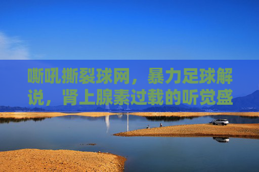 嘶吼撕裂球网,暴力足球解说,肾上腺素过载的听觉盛宴
