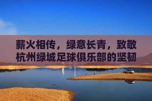 薪火相传，绿意长青，致敬杭州绿城足球俱乐部的坚韧与守望