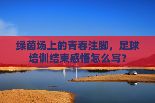 绿茵场上的青春注脚,足球培训结束感悟怎么写?