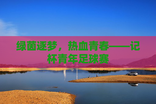 绿茵逐梦，热血青春——记杯青年足球赛