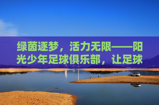绿茵逐梦,活力无限——阳光少年足球俱乐部,让足球点亮童年