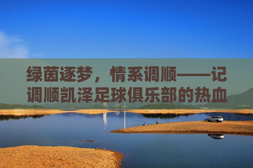 绿茵逐梦，情系调顺——记调顺凯泽足球俱乐部的热血征程
