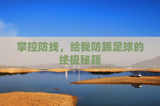 掌控防线,给我防踢足球的终极秘籍