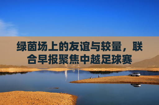 绿茵场上的友谊与较量,联合早报聚焦中越足球赛