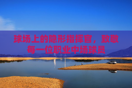球场上的隐形指挥官,致敬每一位职业中场球员