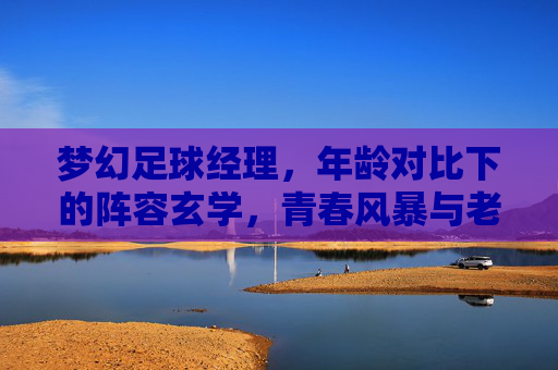 梦幻足球经理,年龄对比下的阵容玄学,青春风暴与老将传奇的博弈
