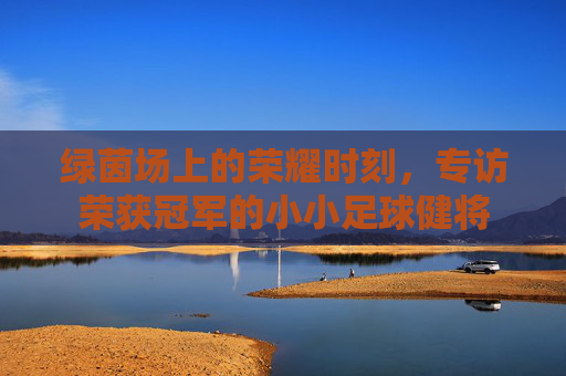 绿茵场上的荣耀时刻,专访荣获冠军的小小足球健将