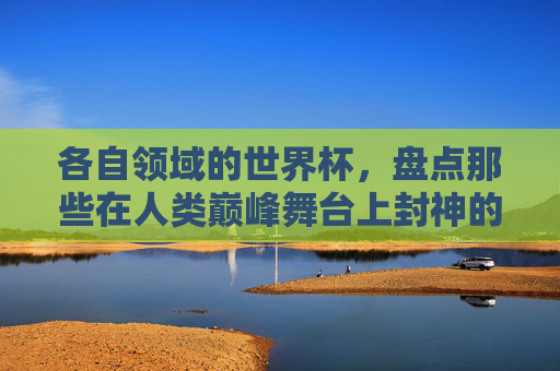 各自领域的世界杯，盘点那些在人类巅峰舞台上封神的人物