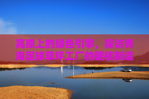 高原上的绿色引擎，探访青海足球草坪工厂的硬核制造力