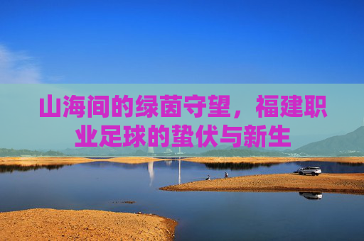 山海间的绿茵守望，福建职业足球的蛰伏与新生