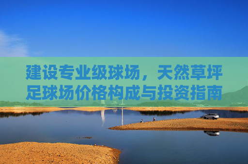 建设专业级球场,天然草坪足球场价格构成与投资指南