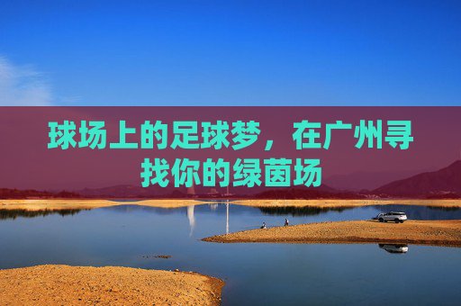 球场上的足球梦,在广州寻找你的绿茵场