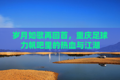 岁月如歌再回首,重庆足球力帆吧里的热血与江湖