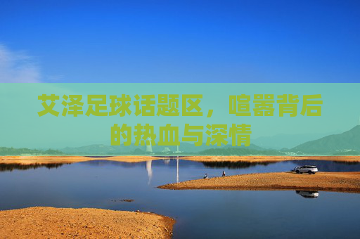 艾泽足球话题区，喧嚣背后的热血与深情