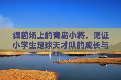 绿茵场上的青岛小将,见证小学生足球天才队的成长与梦想