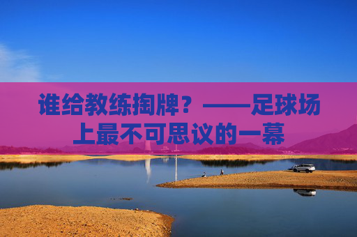 谁给教练掏牌?——足球场上最不可思议的一幕