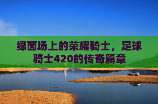 绿茵场上的荣耀骑士,足球骑士420的传奇篇章