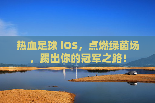 热血足球 iOS,点燃绿茵场,踢出你的冠军之路!
