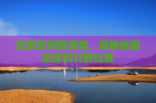 在野区狩猎激情,揭秘韩国足球的打野比赛