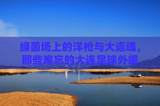 绿茵场上的洋枪与大连魂,那些难忘的大连足球外援