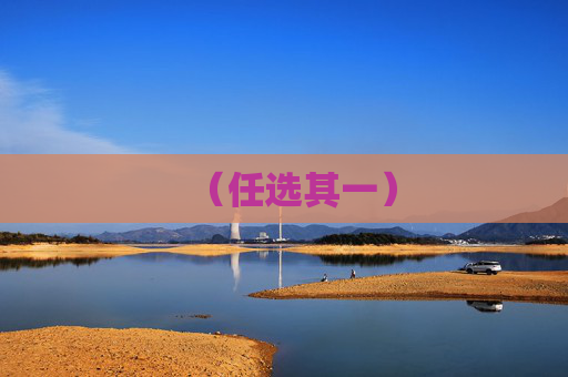 (任选其一)