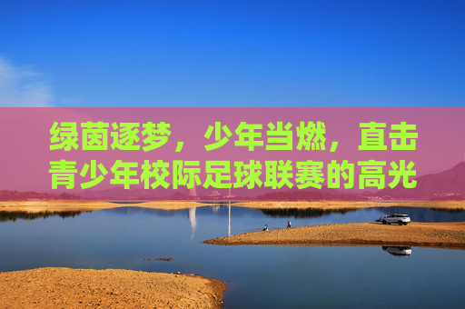 绿茵逐梦，少年当燃，直击青少年校际足球联赛的高光时刻