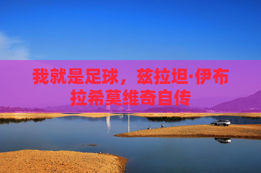 我就是足球，兹拉坦·伊布拉希莫维奇自传