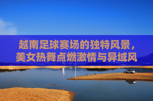越南足球赛场的独特风景,美女热舞点燃激情与异域风情