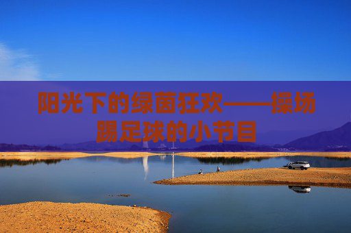阳光下的绿茵狂欢——操场踢足球的小节目