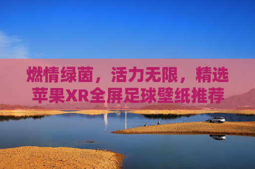 燃情绿茵,活力无限,精选苹果XR全屏足球壁纸推荐