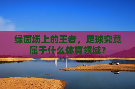 绿茵场上的王者,足球究竟属于什么体育领域?