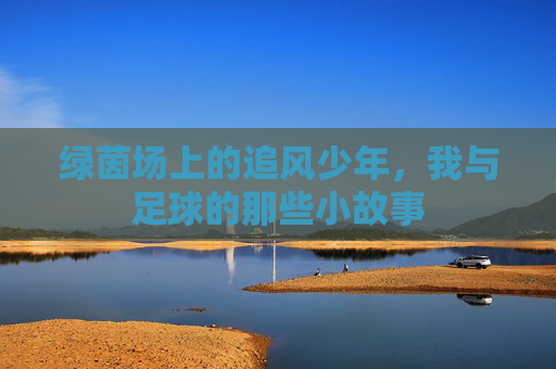 绿茵场上的追风少年,我与足球的那些小故事