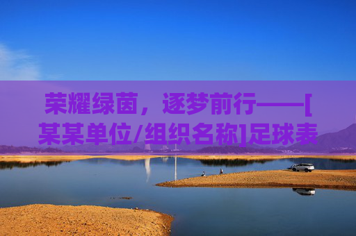荣耀绿茵，逐梦前行——[某某单位/组织名称]足球表彰大会隆重举行