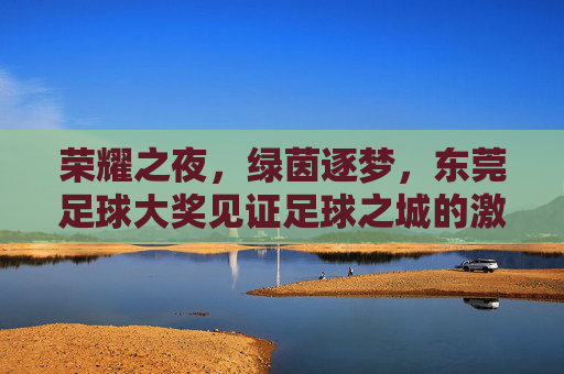 荣耀之夜，绿茵逐梦，东莞足球大奖见证足球之城的激情与荣光