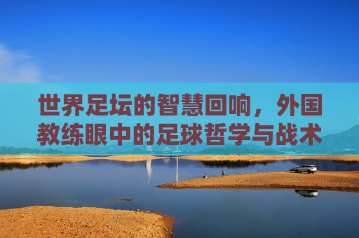 世界足坛的智慧回响，外国教练眼中的足球哲学与战术革新