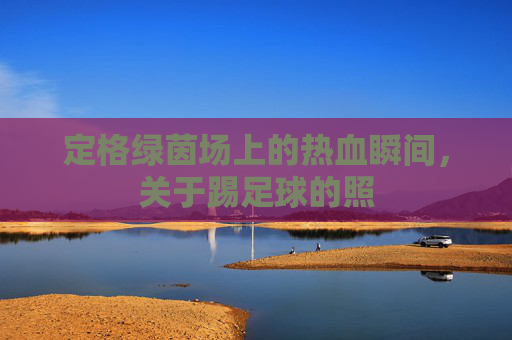 定格绿茵场上的热血瞬间，关于踢足球的照