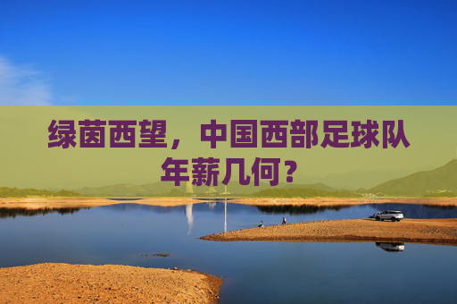 绿茵西望,中国西部足球队年薪几何?