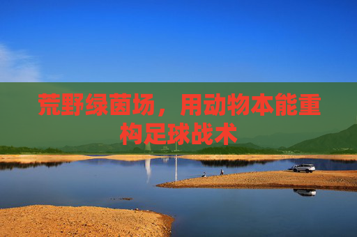 荒野绿茵场,用动物本能重构足球战术