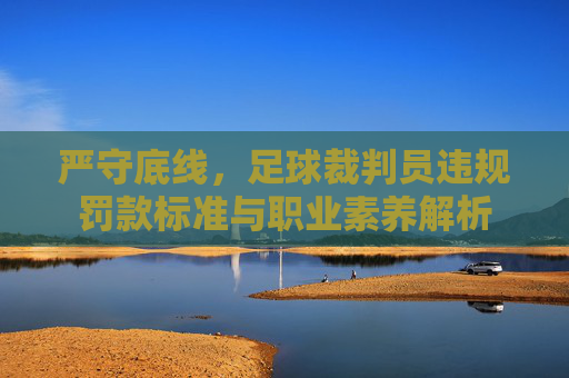 严守底线,足球裁判员违规罚款标准与职业素养解析