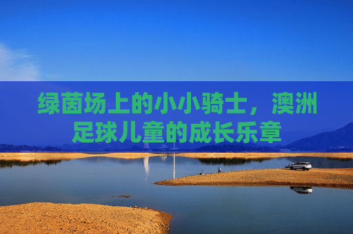绿茵场上的小小骑士，澳洲足球儿童的成长乐章