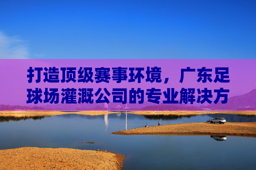 打造顶级赛事环境,广东足球场灌溉公司的专业解决方案