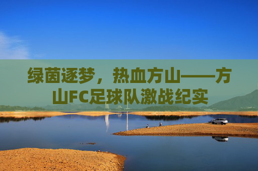 绿茵逐梦,热血方山——方山FC足球队激战纪实