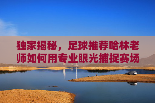 独家揭秘，足球推荐哈林老师如何用专业眼光捕捉赛场红利