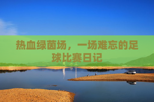 热血绿茵场,一场难忘的足球比赛日记