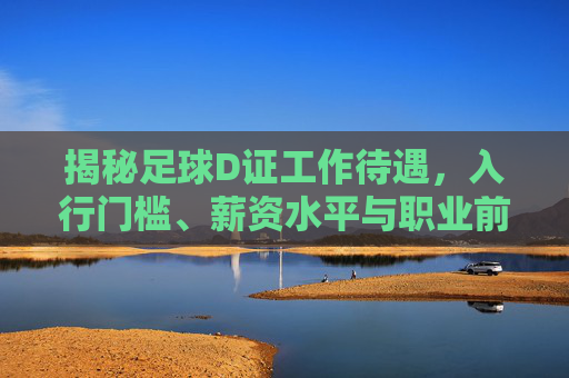 揭秘足球D证工作待遇,入行门槛、薪资水平与职业前景全解析
