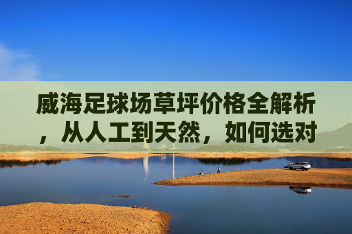 威海足球场草坪价格全解析，从人工到天然，如何选对不选贵？