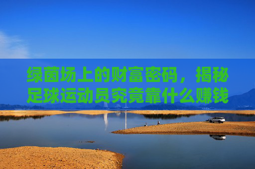 绿茵场上的财富密码,揭秘足球运动员究竟靠什么赚钱