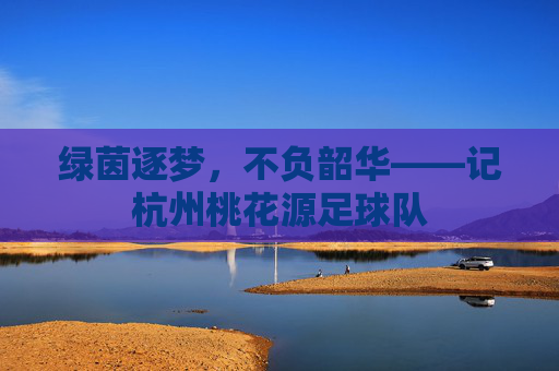 绿茵逐梦,不负韶华——记杭州桃花源足球队