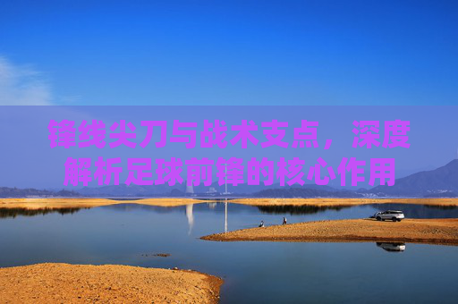 锋线尖刀与战术支点,深度解析足球前锋的核心作用