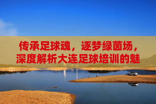 传承足球魂，逐梦绿茵场，深度解析大连足球培训的魅力与优势